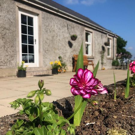 Ballyconnelly Cottages, Galgorm Area Cullybackey エクステリア 写真